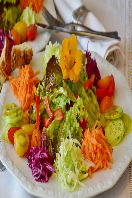 Asian Chicken Salad with Ginger Garlic Dressing 