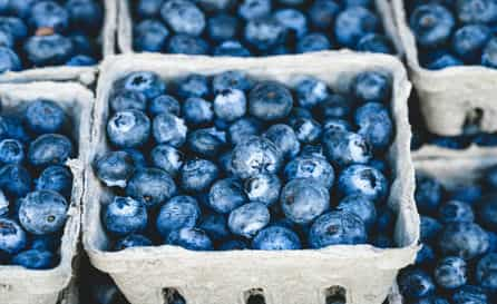 Blueberries A Burst of Antioxidants