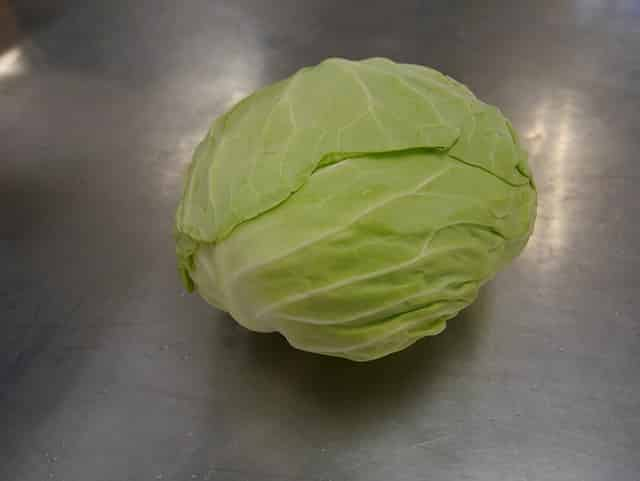 Cabbage