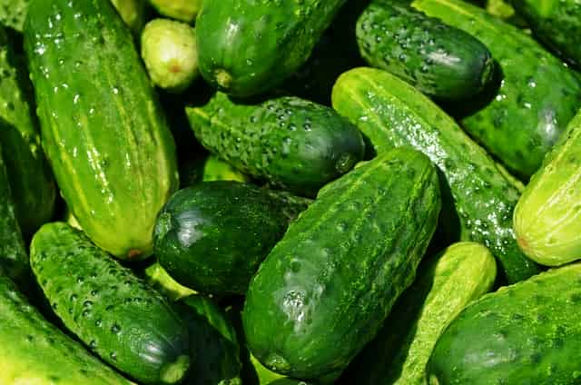 Cucumbers 