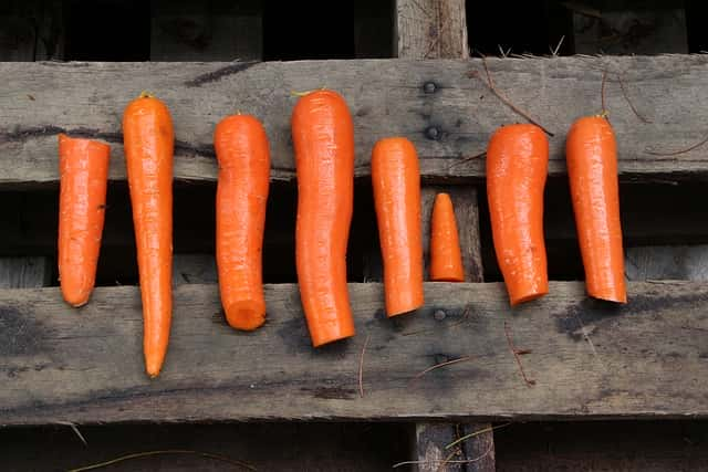 Honey Glazed Carrots