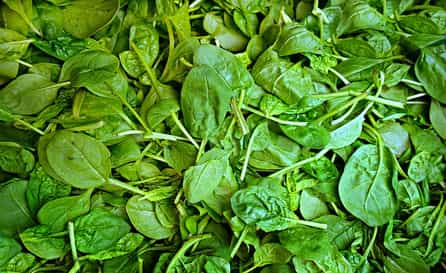 Spinach A Nutritional All-Rounder