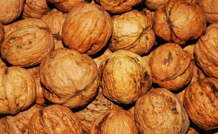 Walnuts Brain-Boosting Omega-3s